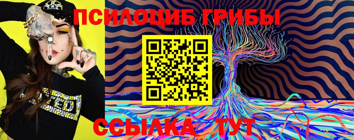 Псилоцибиновые грибы прущие грибы Куйбышев