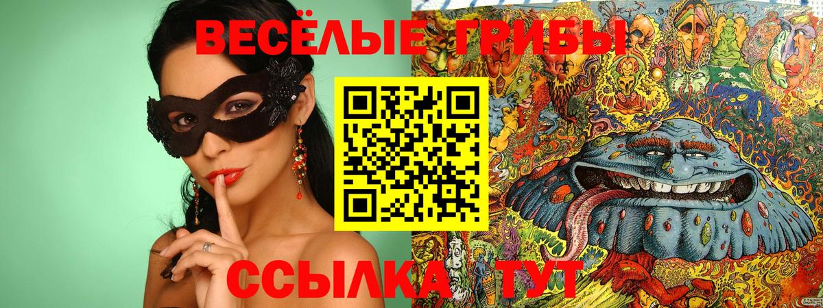 Псилоцибиновые грибы GOLDEN TEACHER  Вход с VPN  Куйбышев 