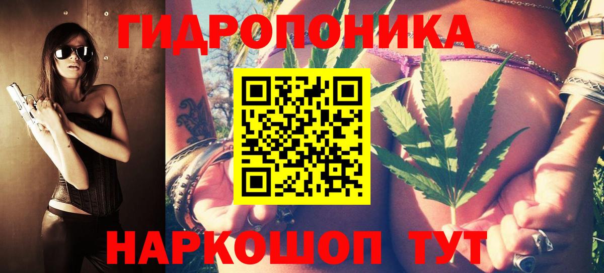 Бошки Шишки VHQ Куйбышев
